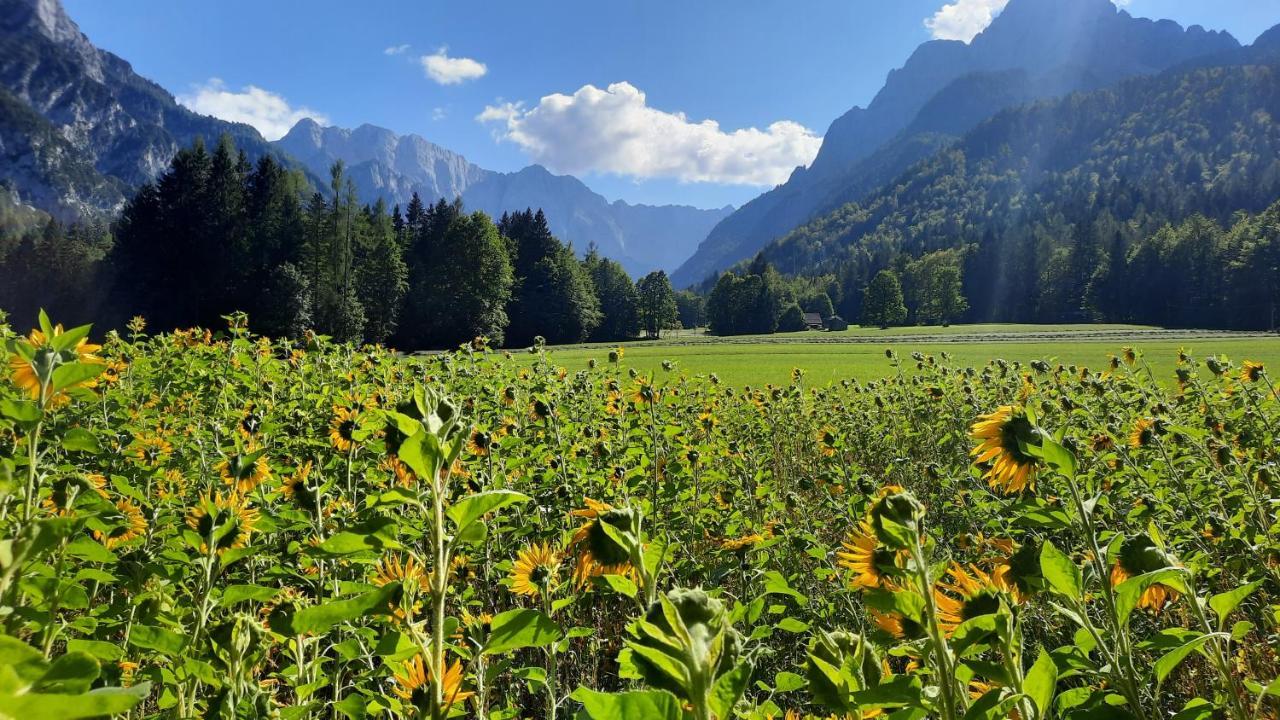 House Godec - Ratece Planica Daire Kranjska Gora Dış mekan fotoğraf