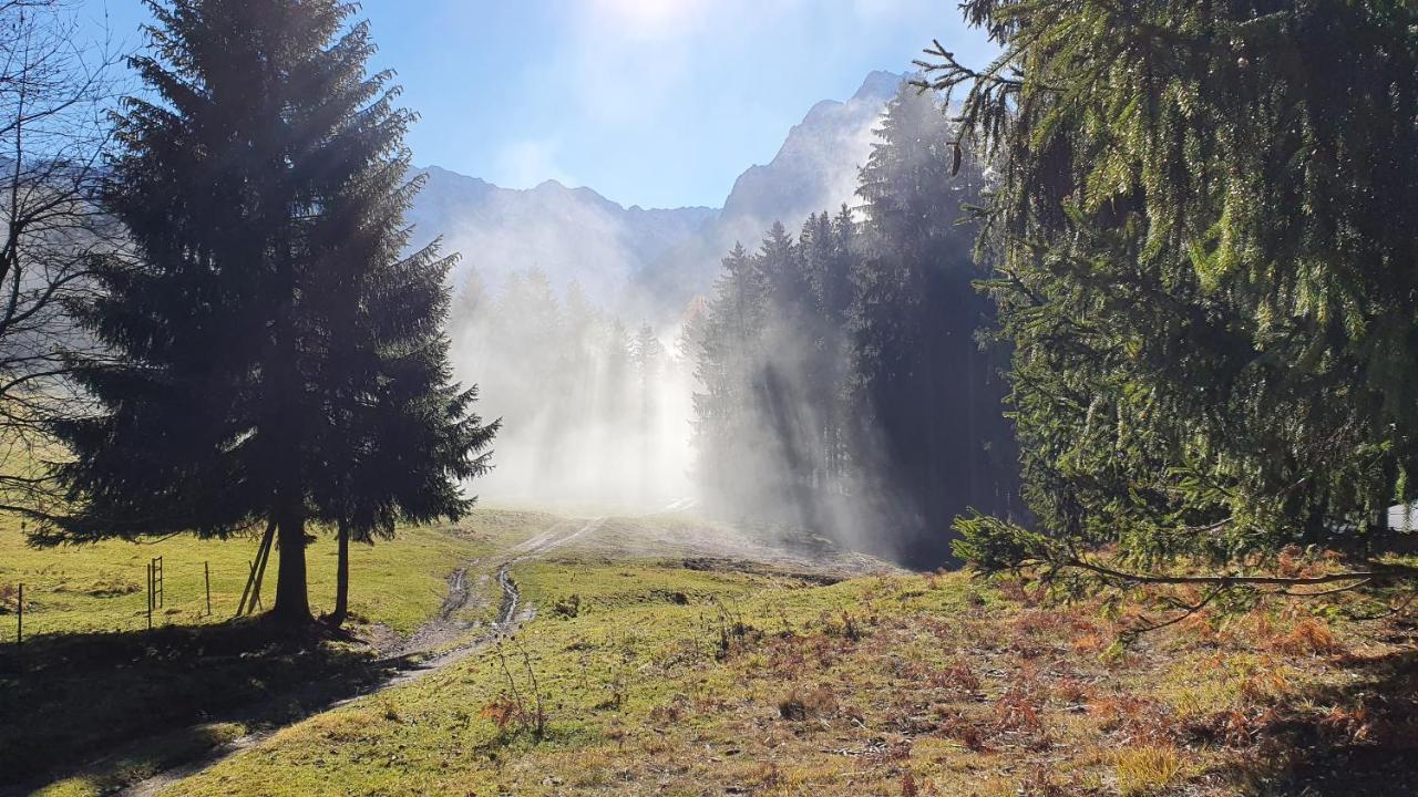 House Godec - Ratece Planica Daire Kranjska Gora Dış mekan fotoğraf