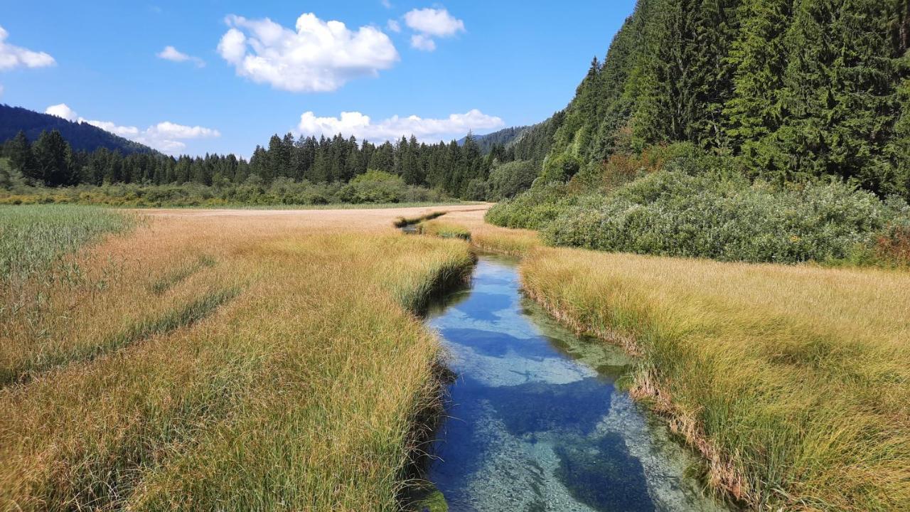 House Godec - Ratece Planica Daire Kranjska Gora Dış mekan fotoğraf