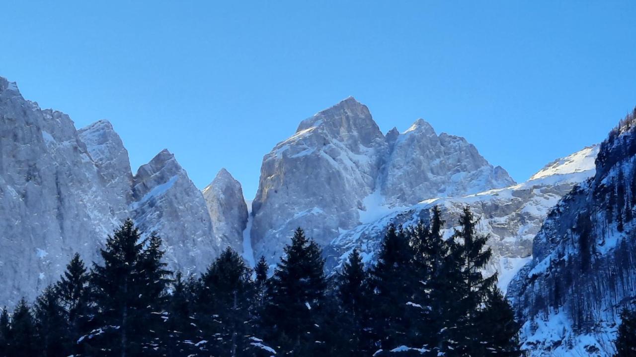 House Godec - Ratece Planica Daire Kranjska Gora Dış mekan fotoğraf